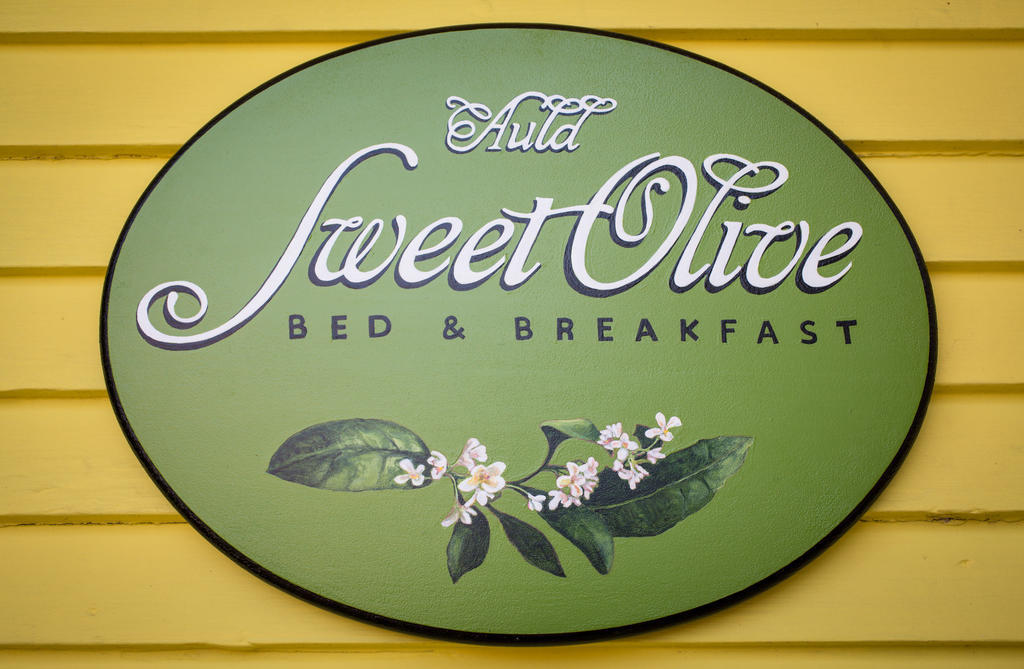 Auld Sweet Olive Bed And Breakfast New Orleans Exterior foto